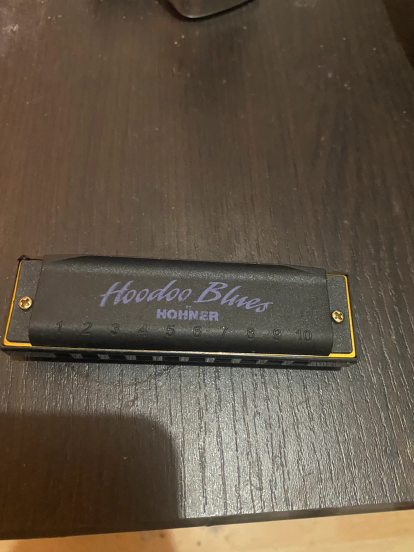 Hohner Hoodoo Blues Harmonica