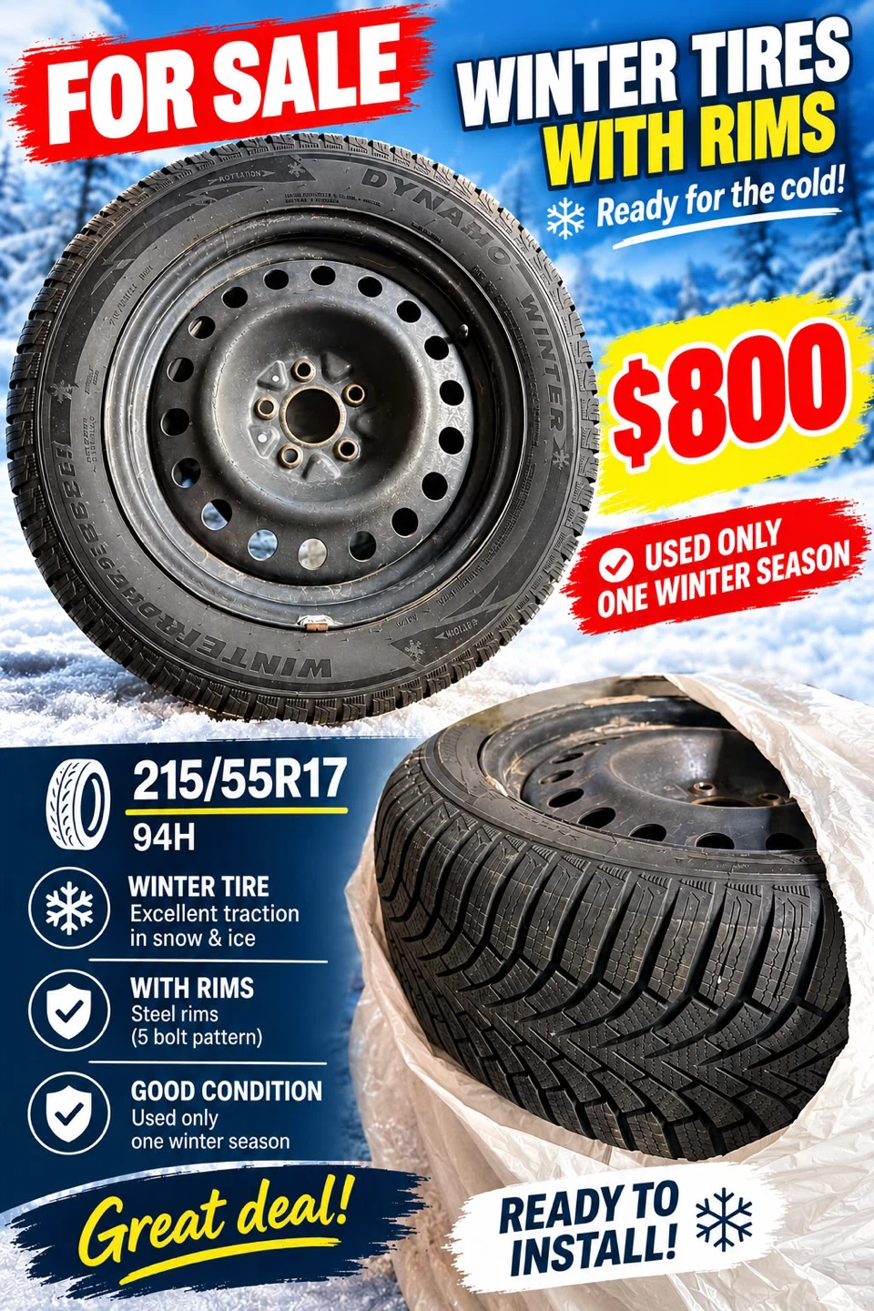 Dynamo Winter Tires with Steel Rims 215/55R17