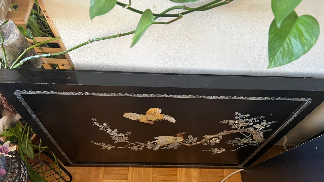 Stunning Vintage 3D Mother of Pearl Black Lacquer Wall Panel - photo 2