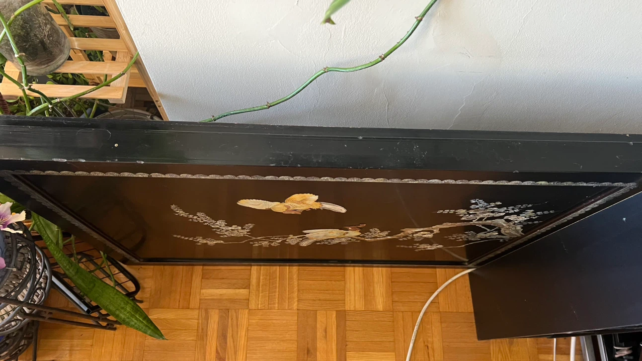 Stunning Vintage 3D Mother of Pearl Black Lacquer Wall Panel - photo 3