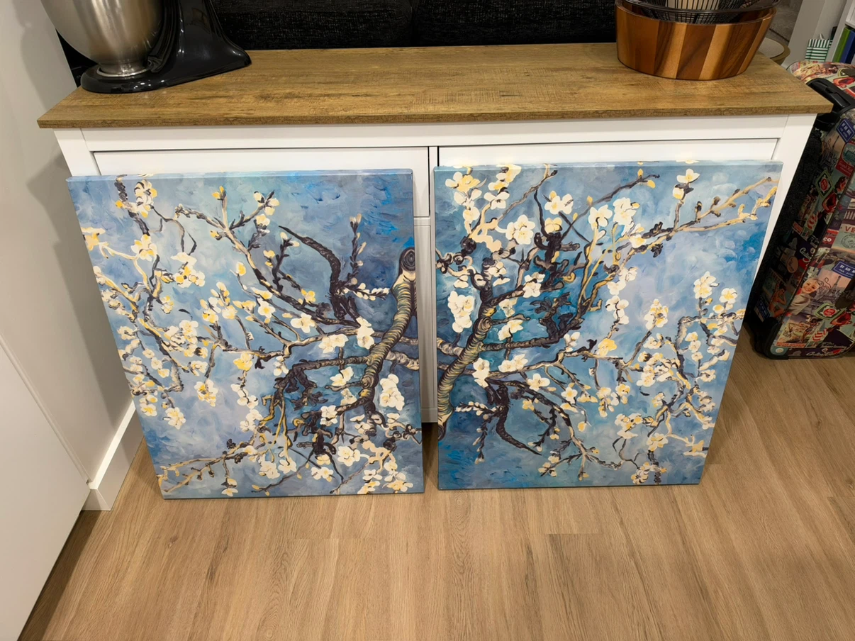 Set of 2 Almond Blossom Canvas Prints