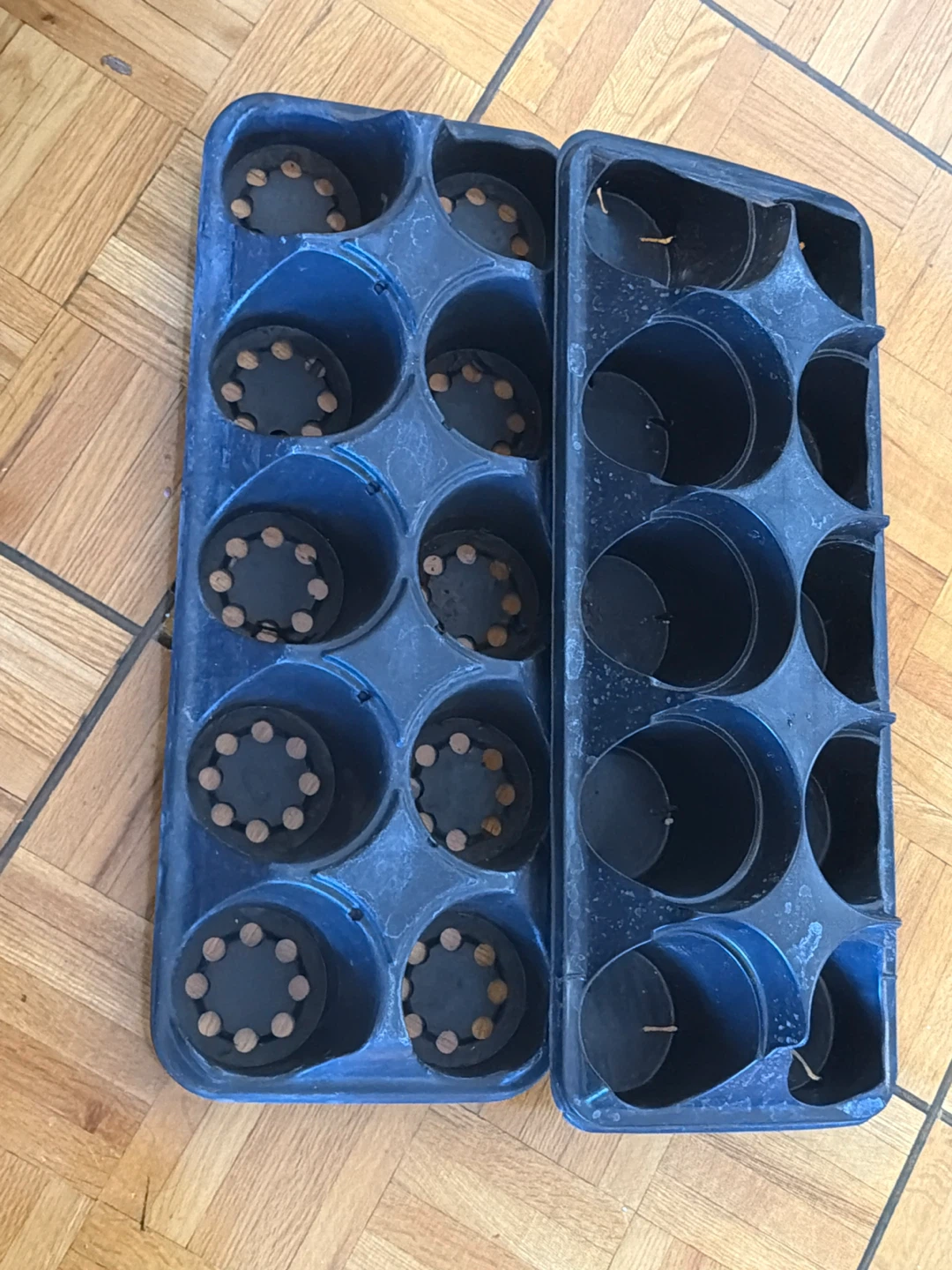 Two Seedling Starter Trays