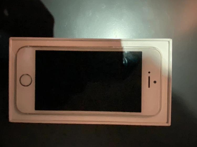Apple iPhone 5s Silver
