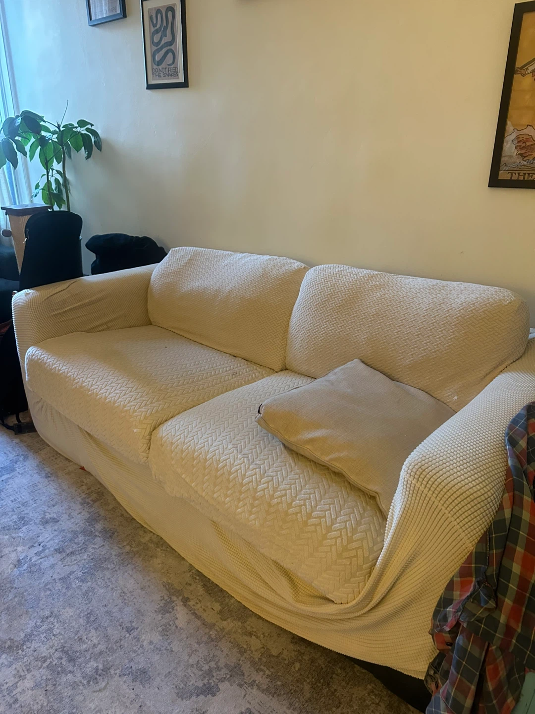 Sofa with Cover- NEED GONE! - photo 2