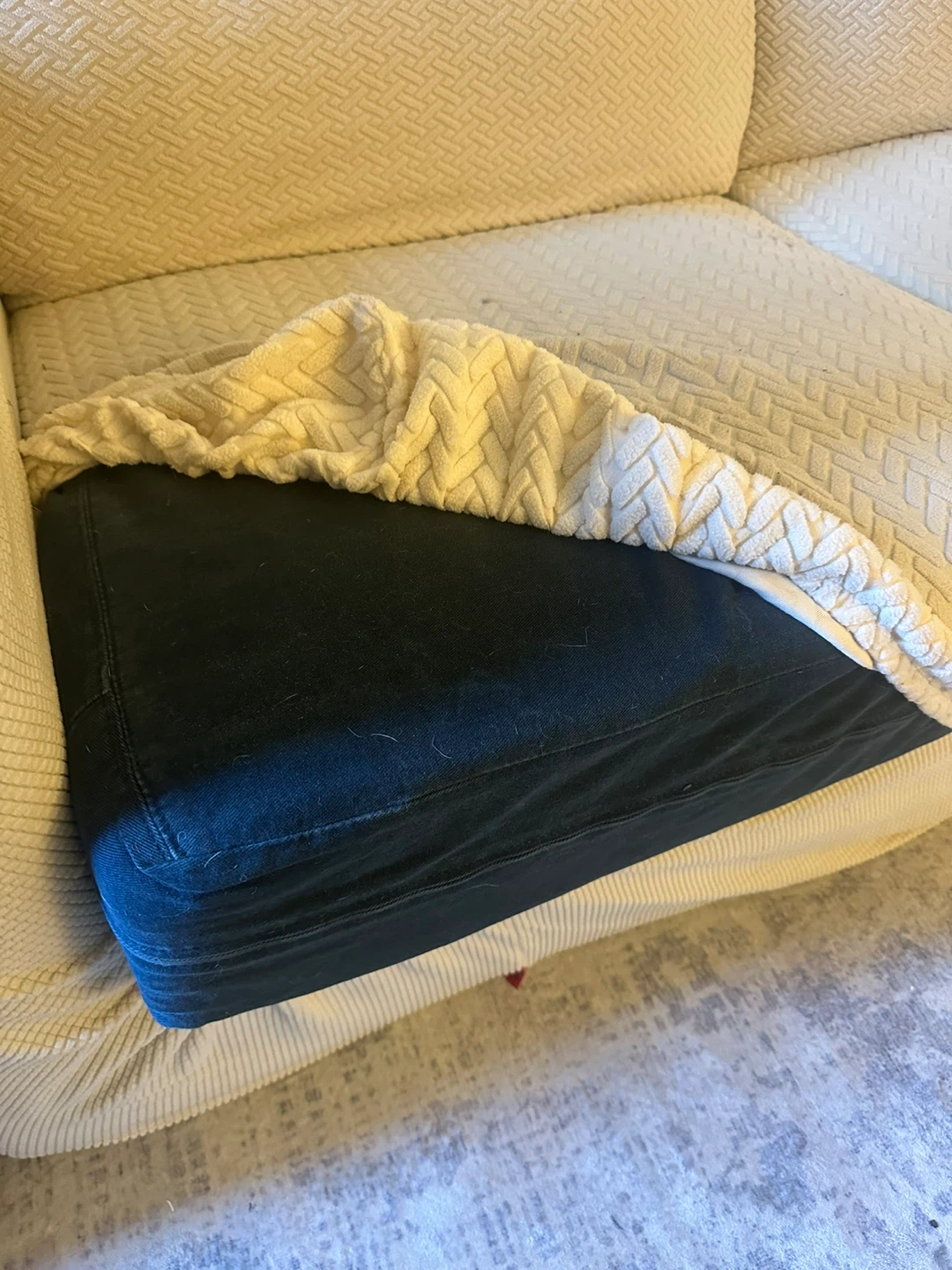 Sofa with Cover- NEED GONE! - photo 3