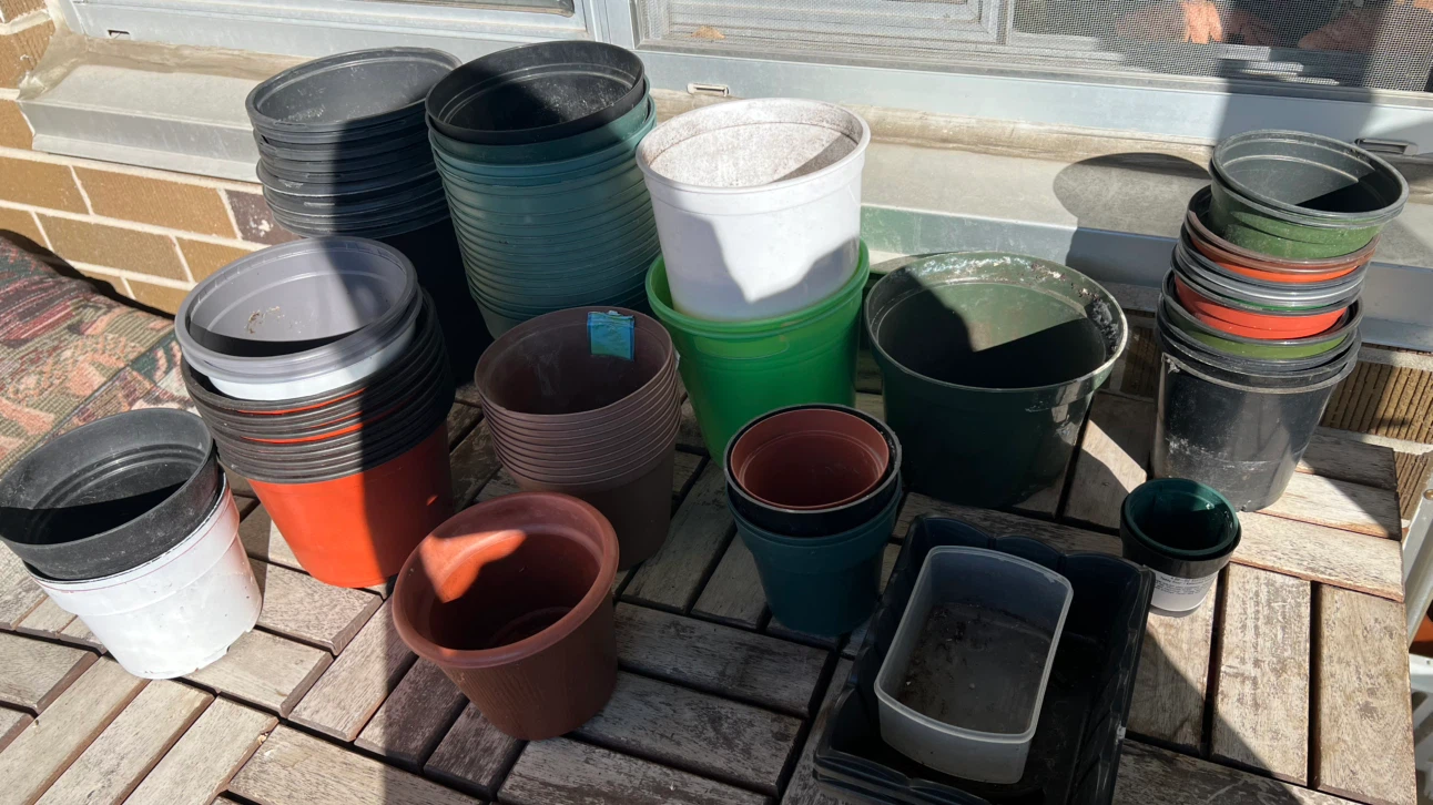 Huge Mega Bulk Lot of 60+ Plastic Garden Nursery Pots