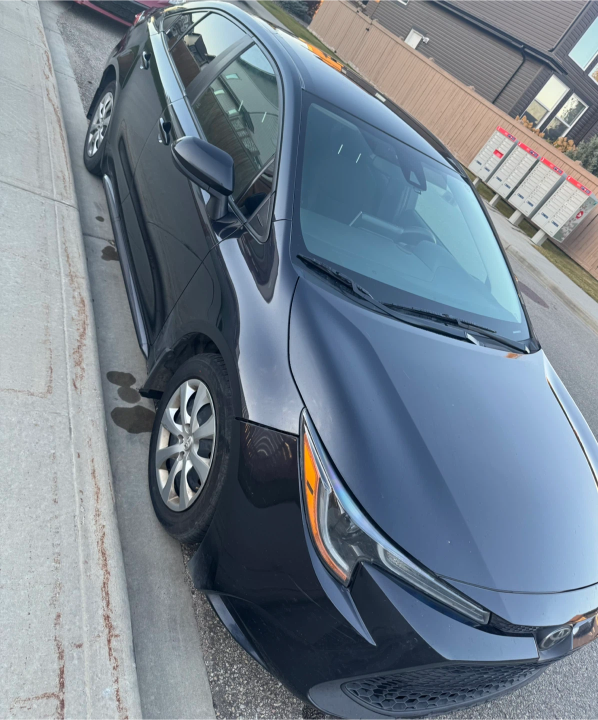 Toyota Corolla LE Sedan