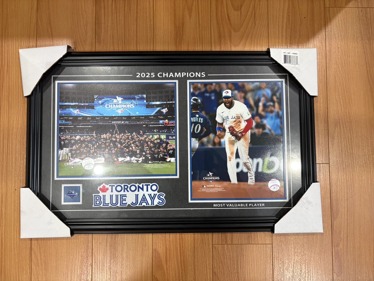 Blue Jays Portrait