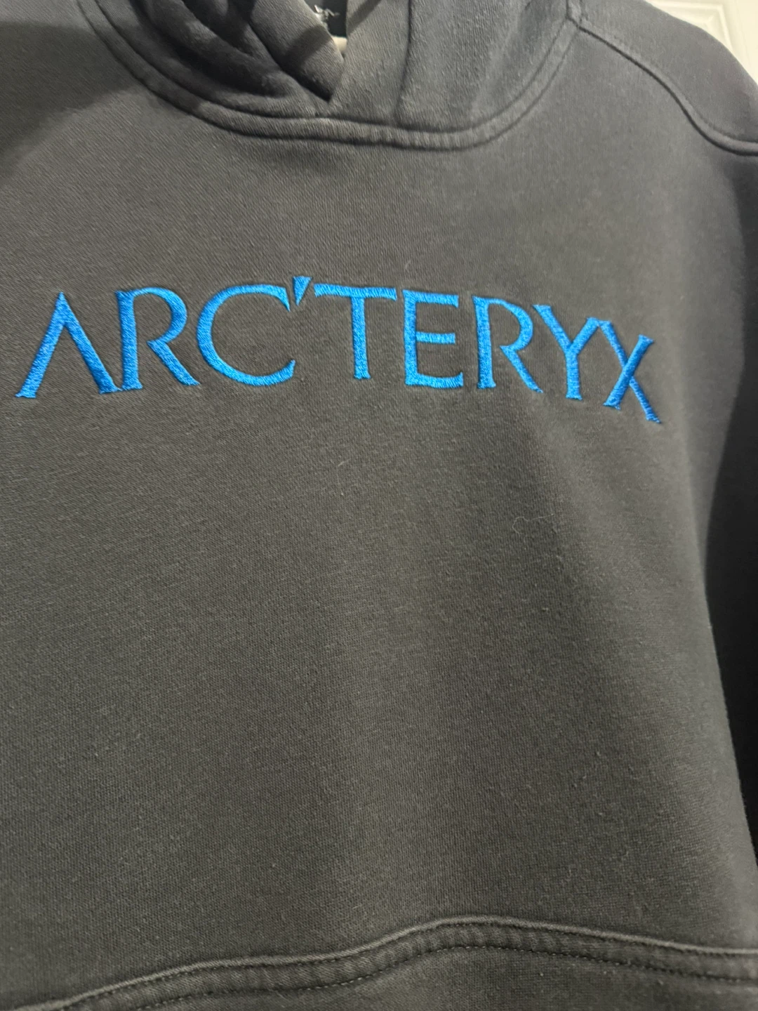 Arc'teryx Logo Hoodie Black - photo 4
