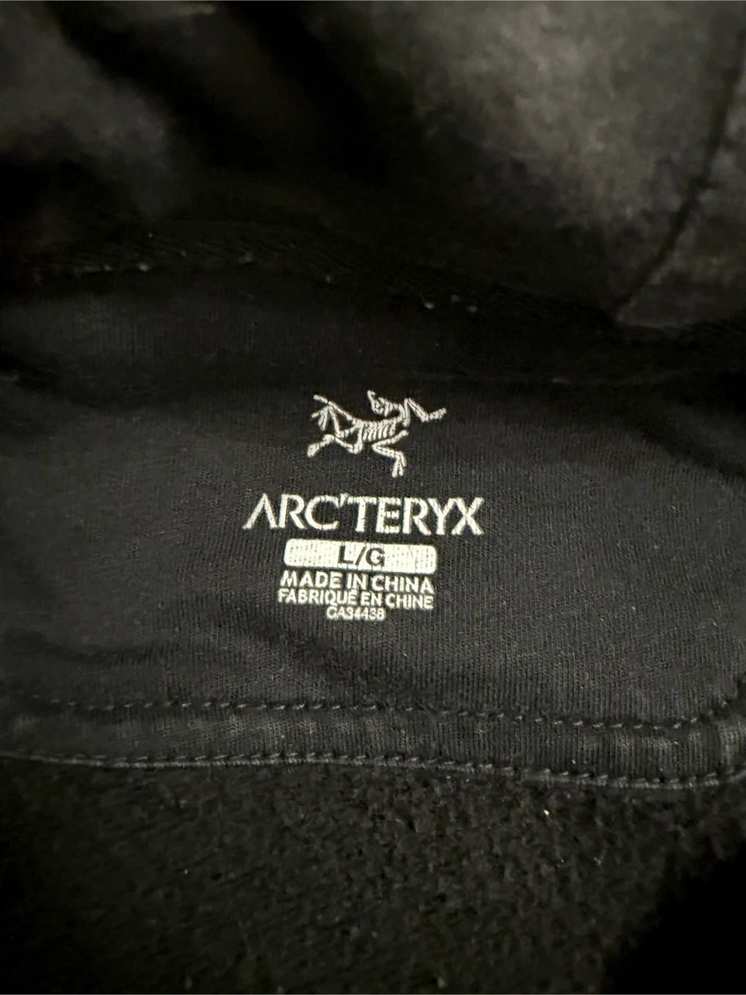 Arc'teryx Logo Hoodie Black - photo 5