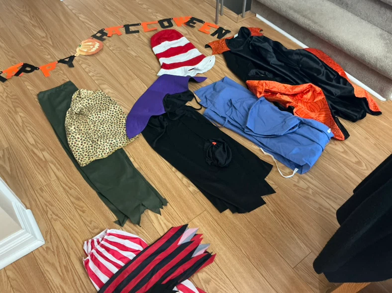 Assorted Halloween Costume Lot - photo 2