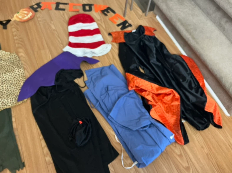 Assorted Halloween Costume Lot - photo 3