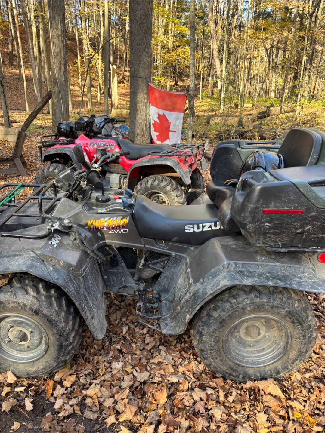 Suzuki King-Quad 300 4WD ATV - photo 3
