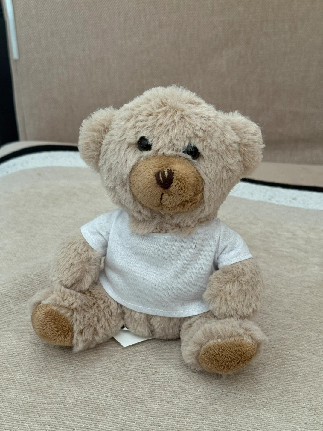 Small Plush Teddy Bear