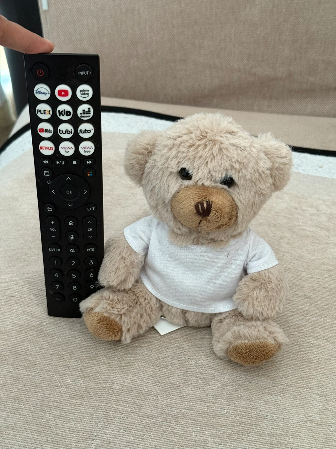 Small Plush Teddy Bear - photo 2