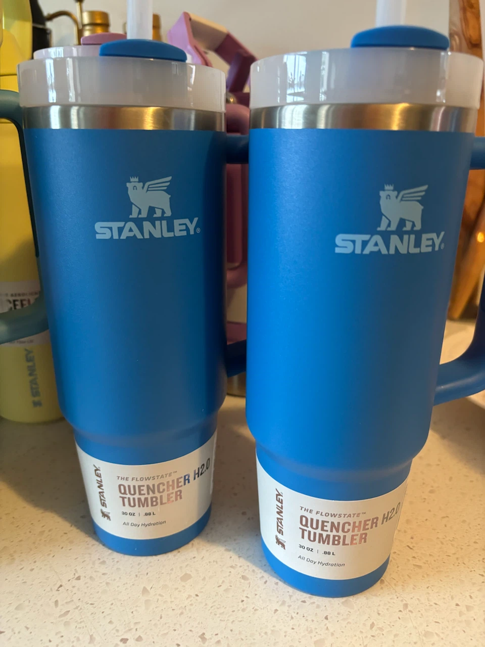 Two Stanley Quencher H2.0 Tumblers 30 oz