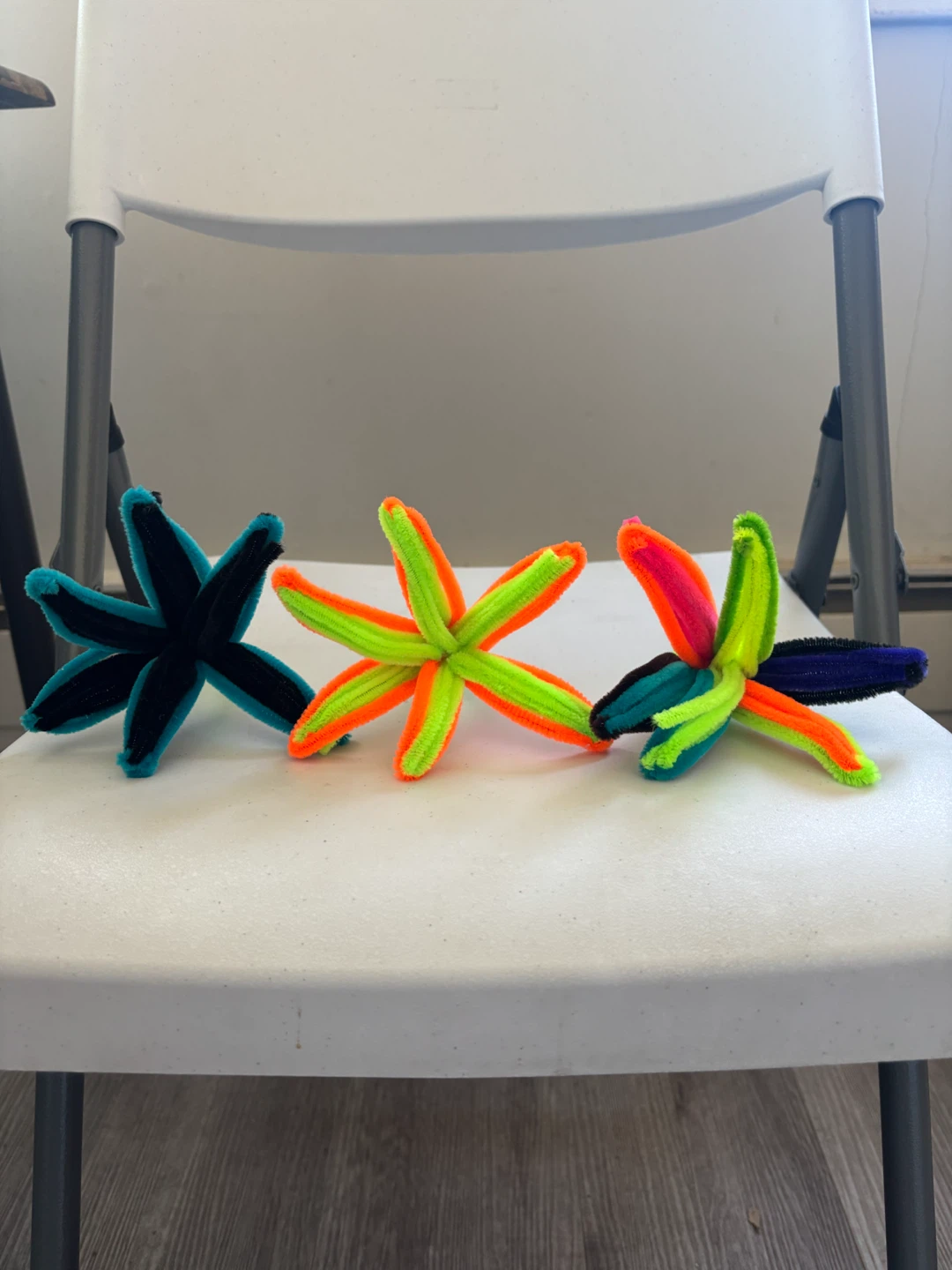 Set of Three Eyewear Cases
