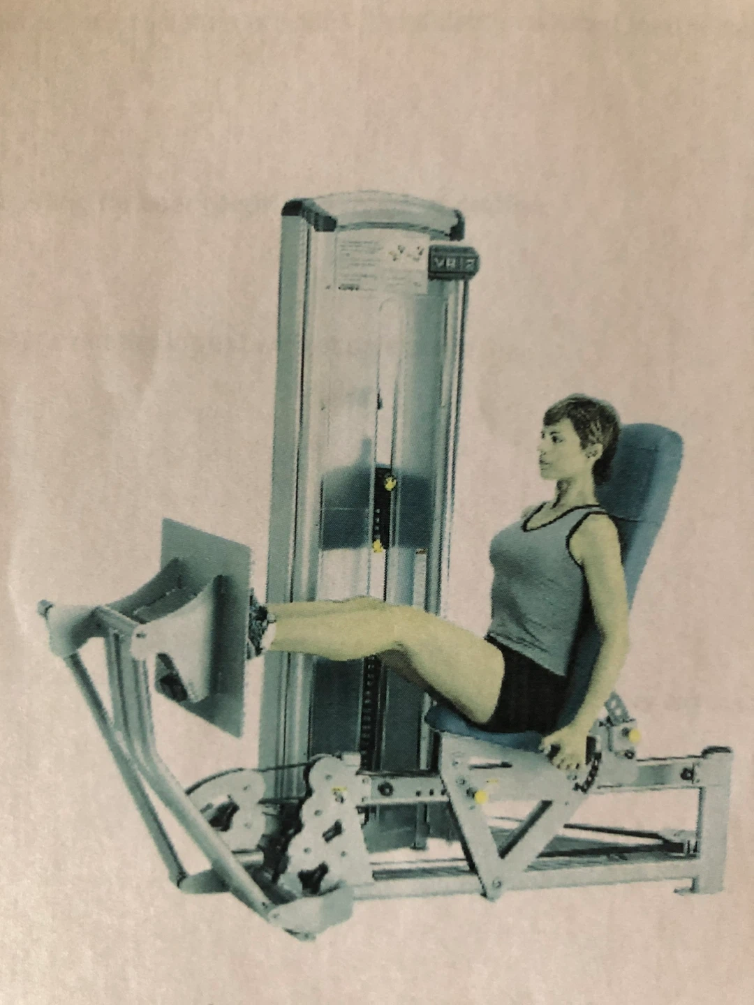 Cybex Eagle Leg Press - photo 5