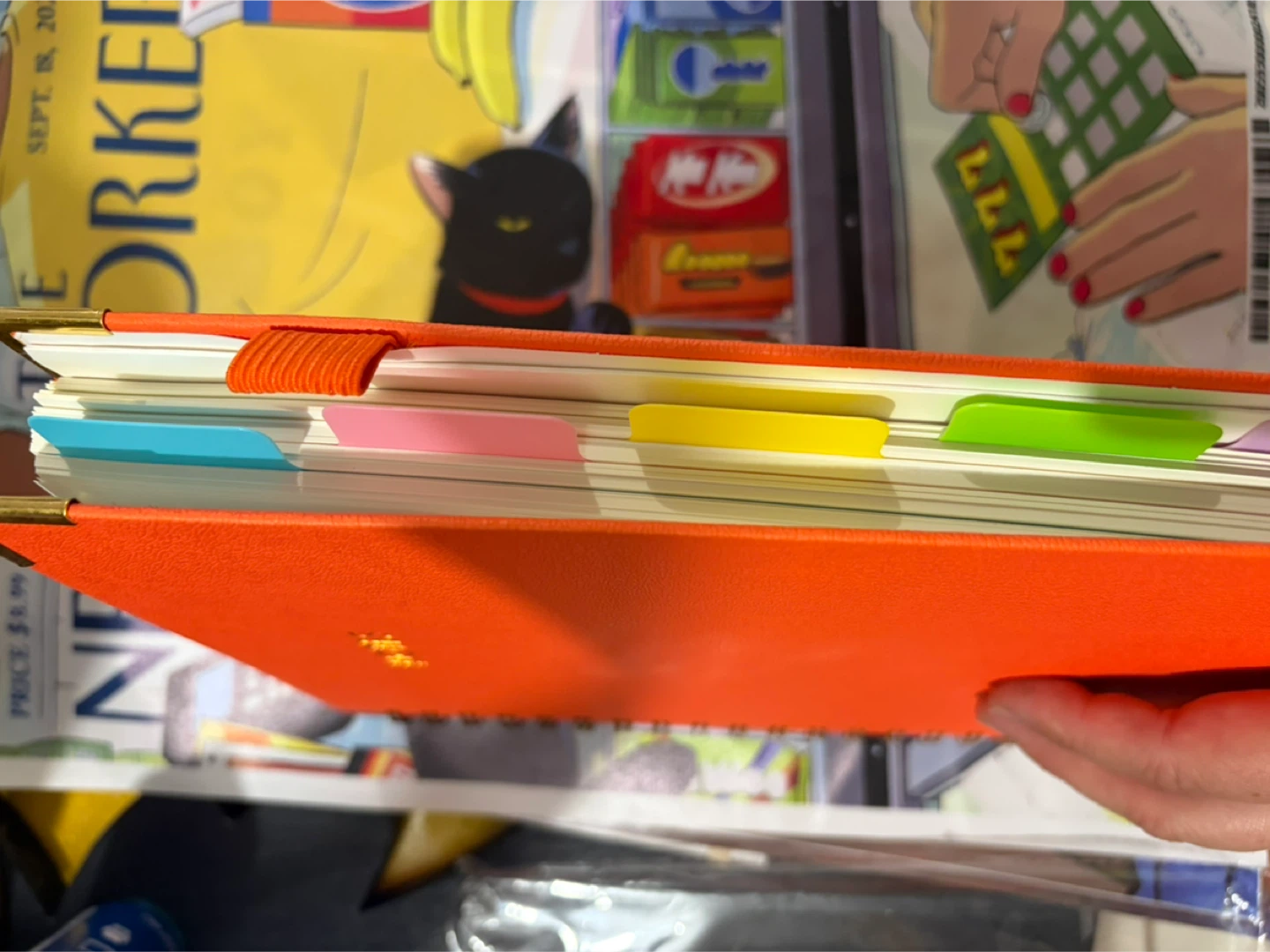 Omeya A4 Spiral Notebook and another - photo 4