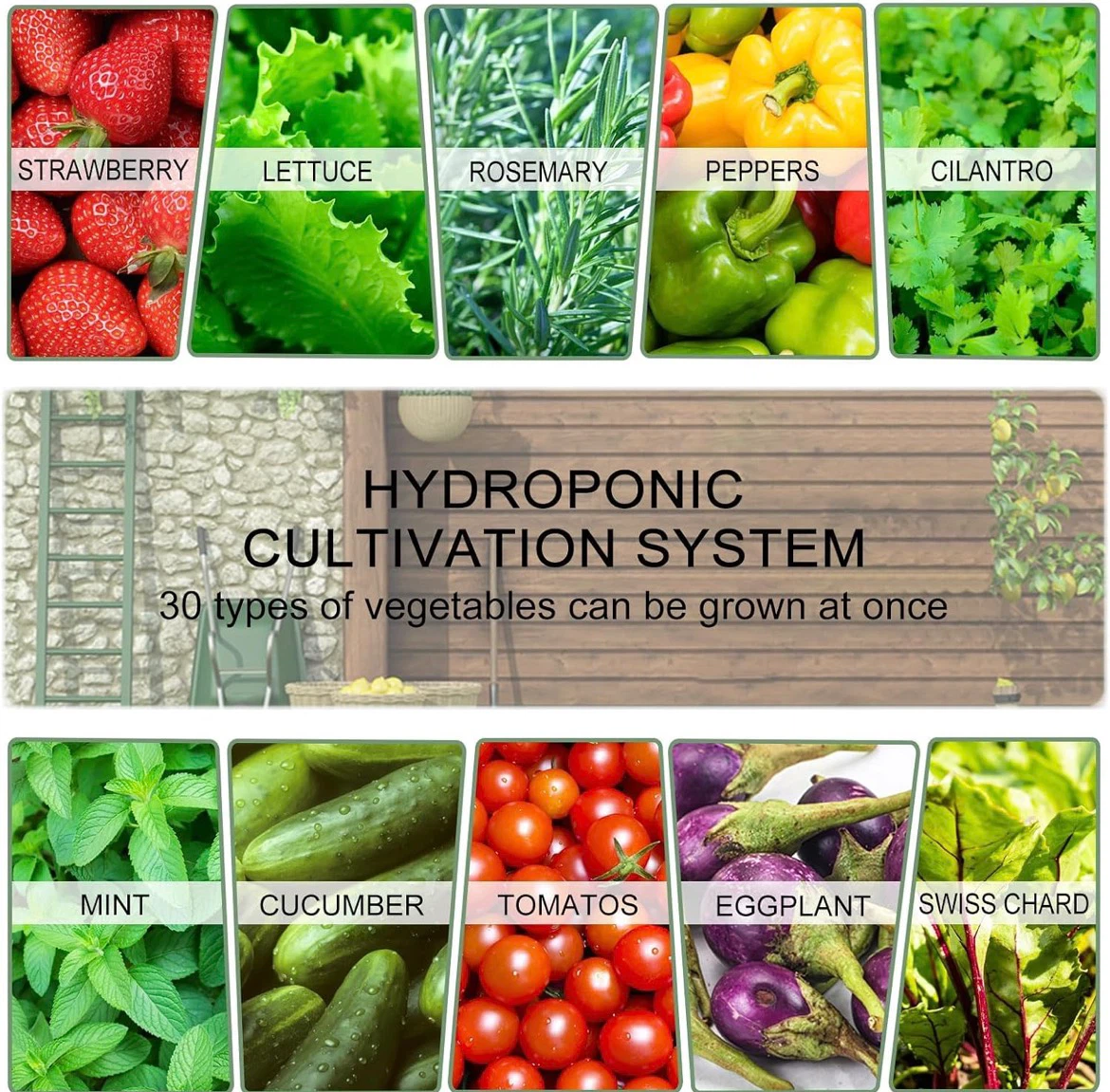 Hydroponic Vertical Cultivation System - photo 5