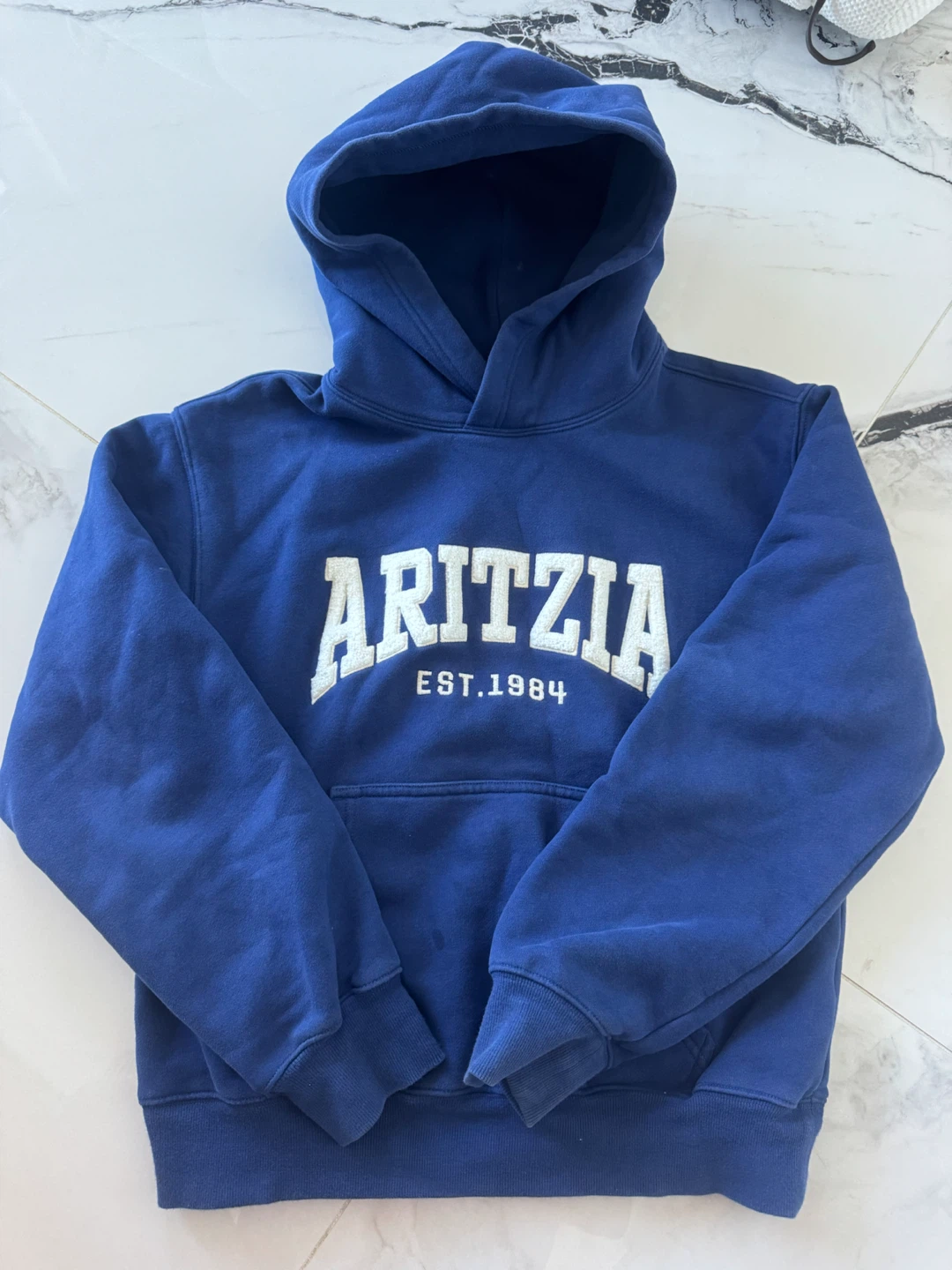 Aritzia Sweatfleece Hoodie