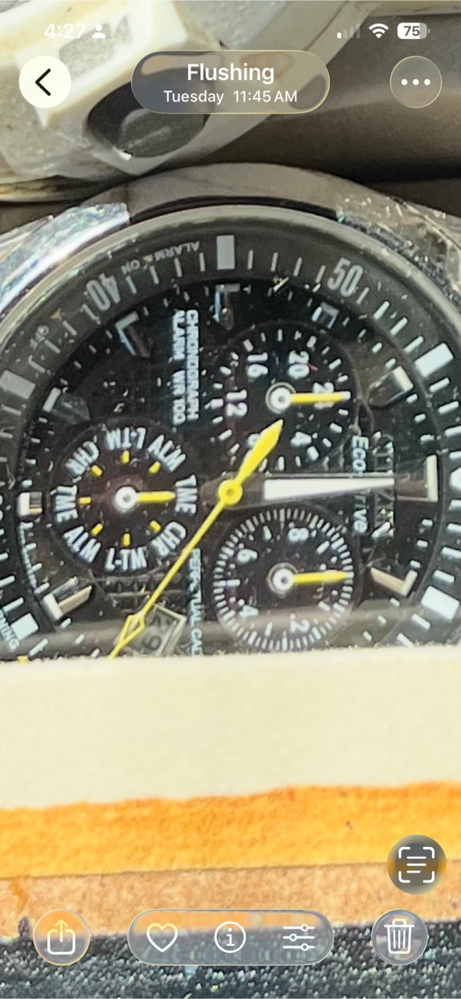 Citizen Eco-Drive Perpetual Calendar Chronograph