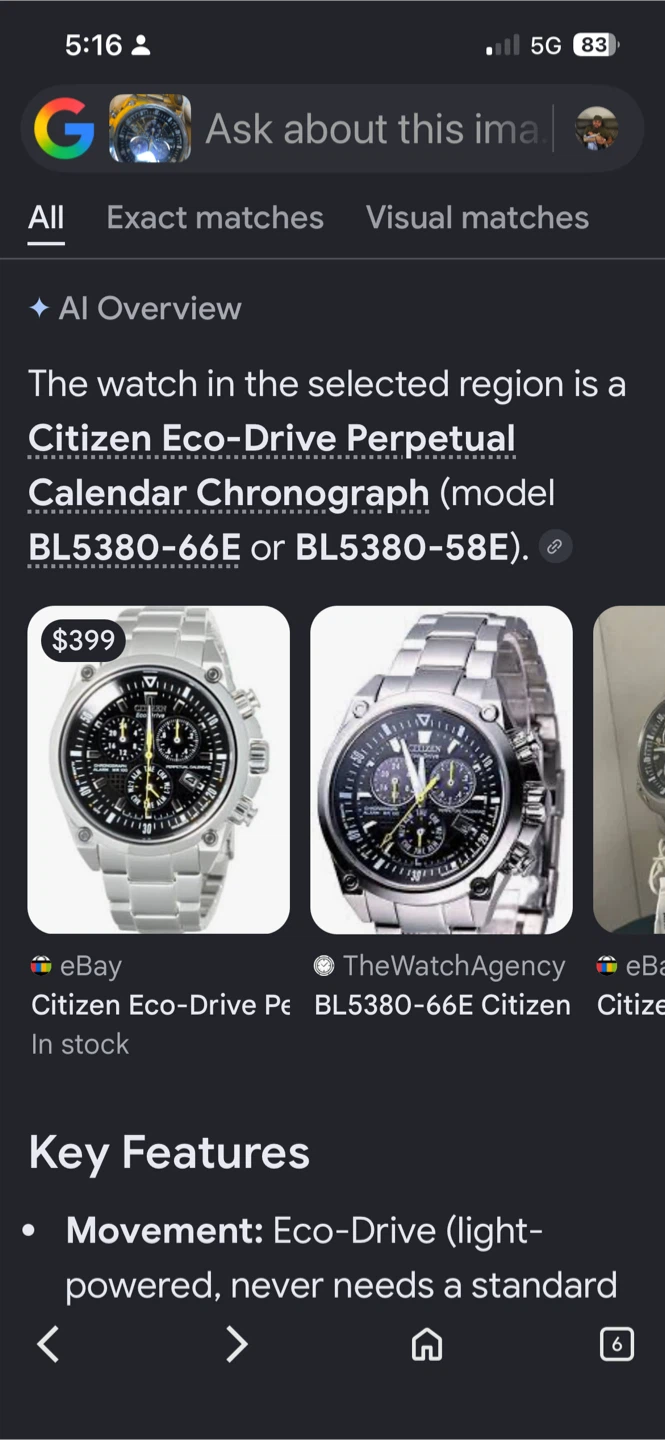 Citizen Eco-Drive Perpetual Calendar Chronograph - photo 2