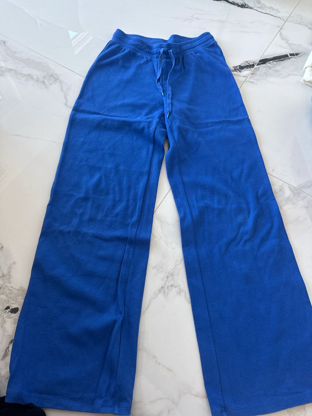 Aritzia Homestretch Blue Pants