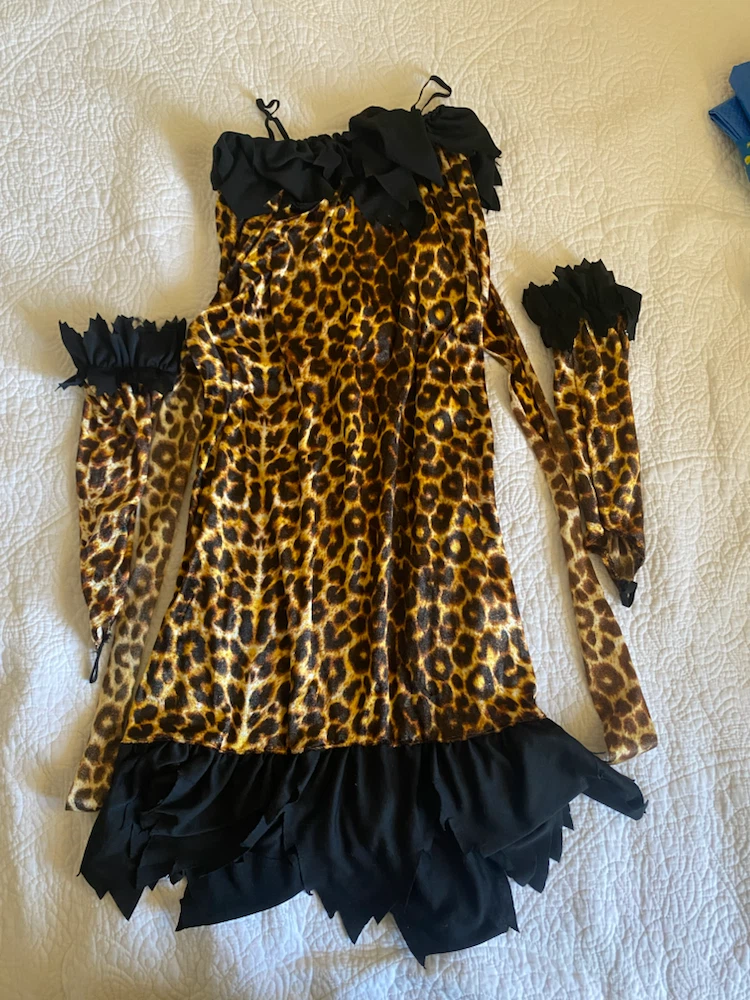 Seasonal Visions Wildcat Witch Costume - photo 2