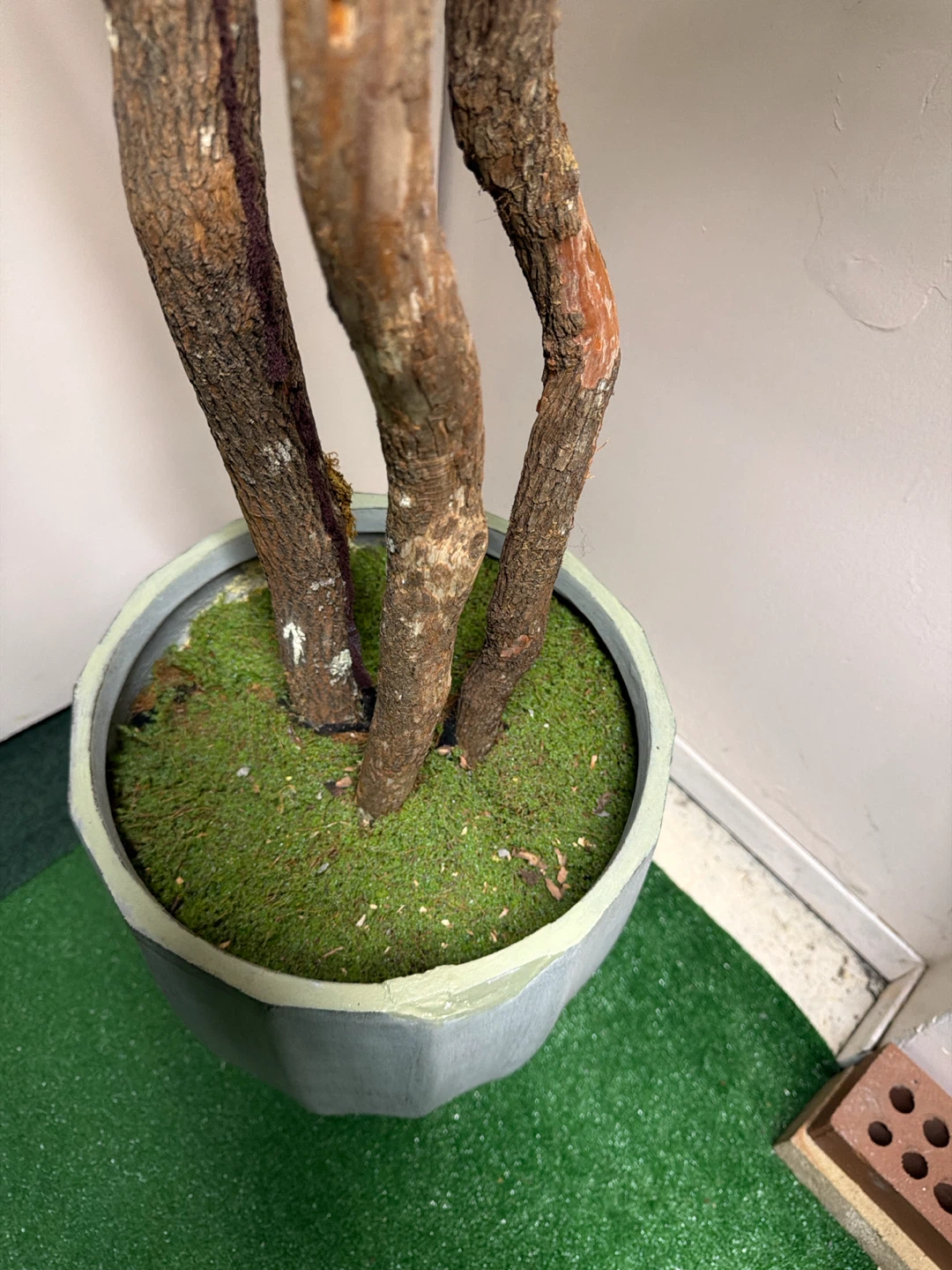 7ft height Artificial Olive Tree in 19” Grey Planter - photo 4