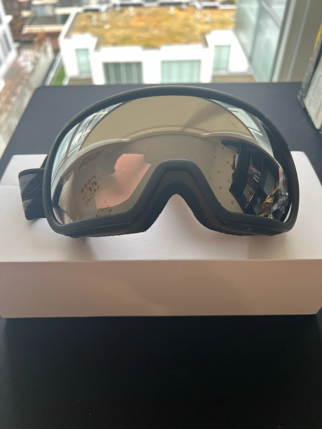 Zeal Ski Goggles