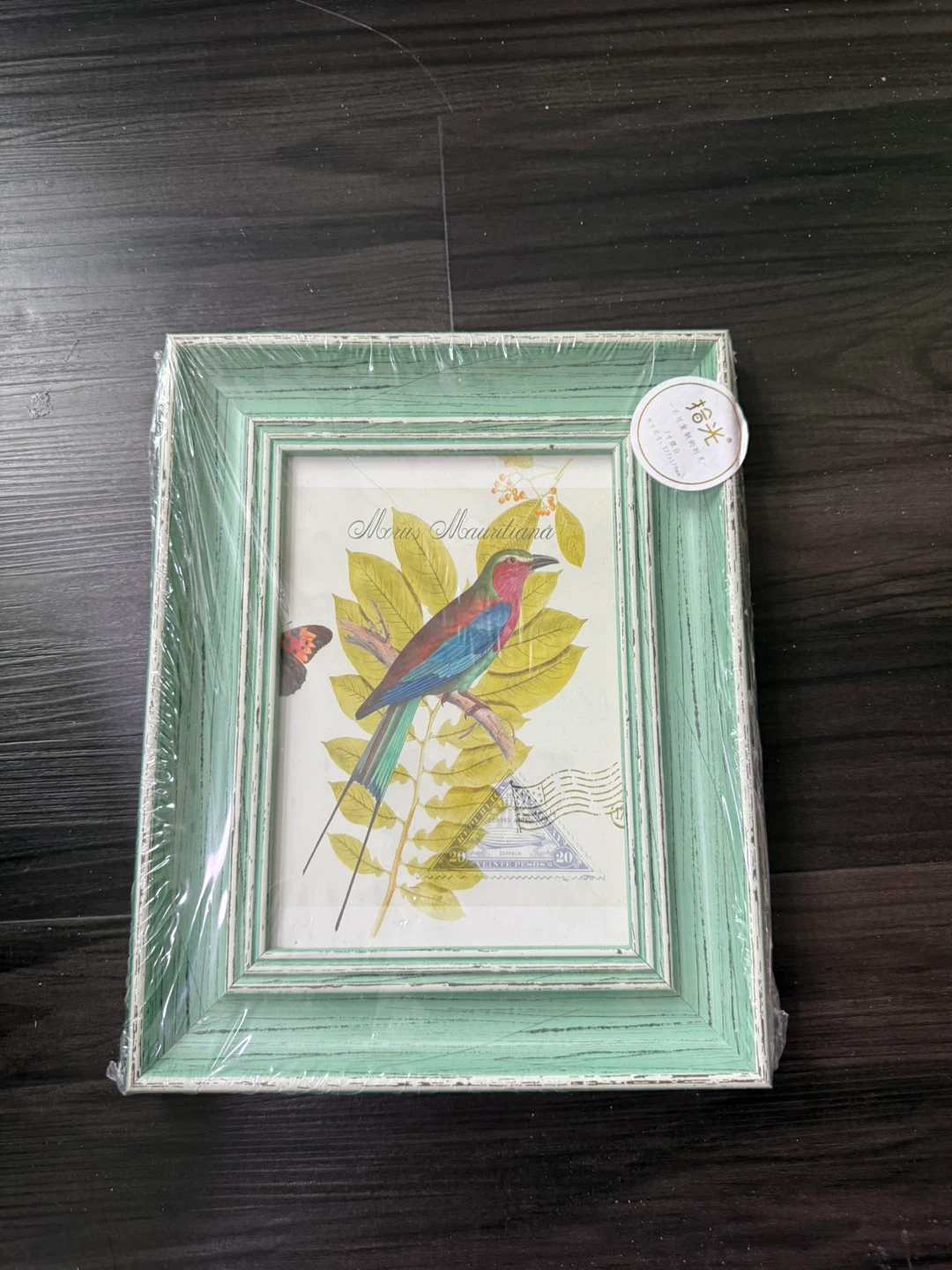 Vintage-Style Mint Green Photo Frame – $12