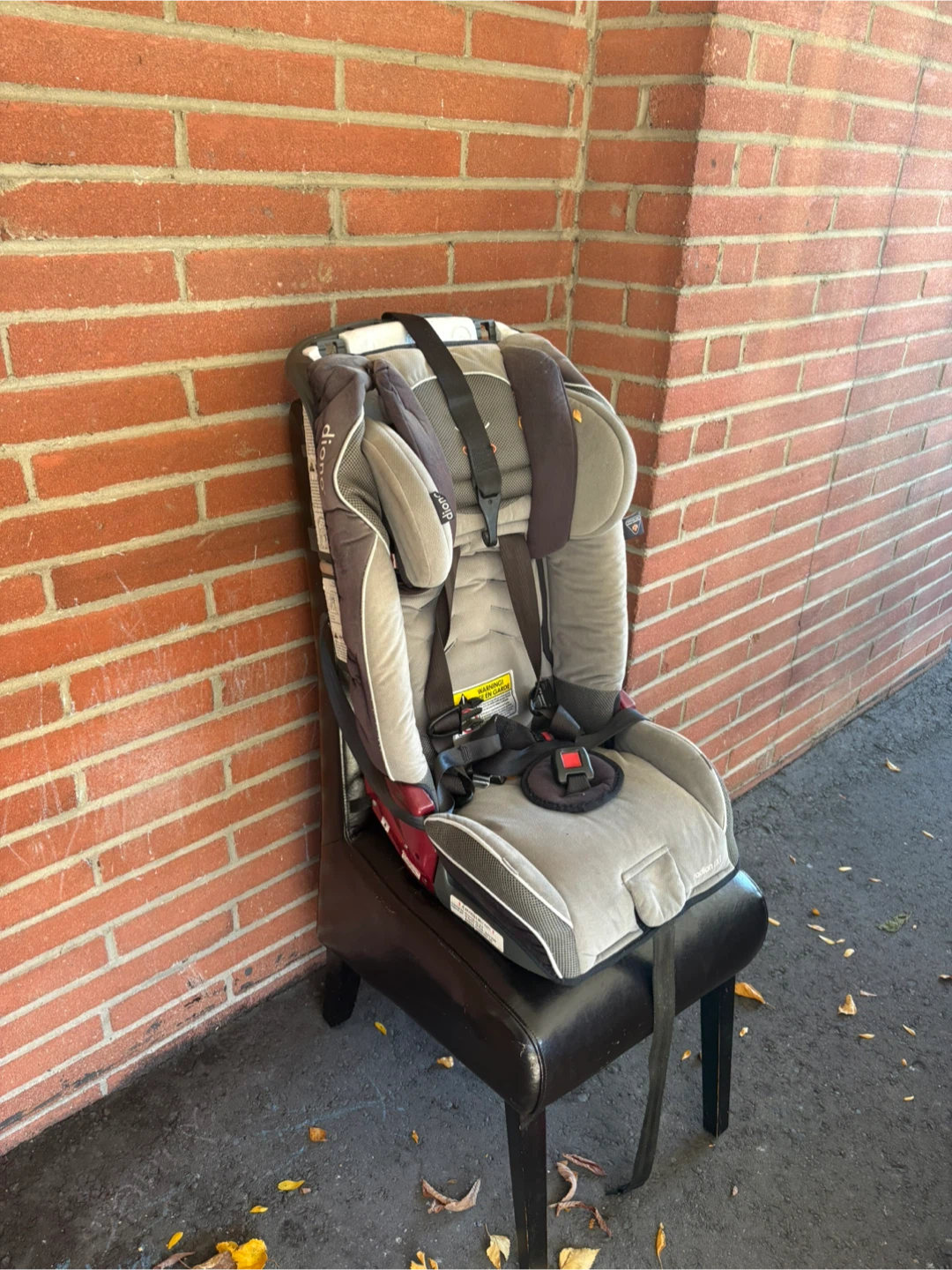 Diono Radian RXT Car Seat