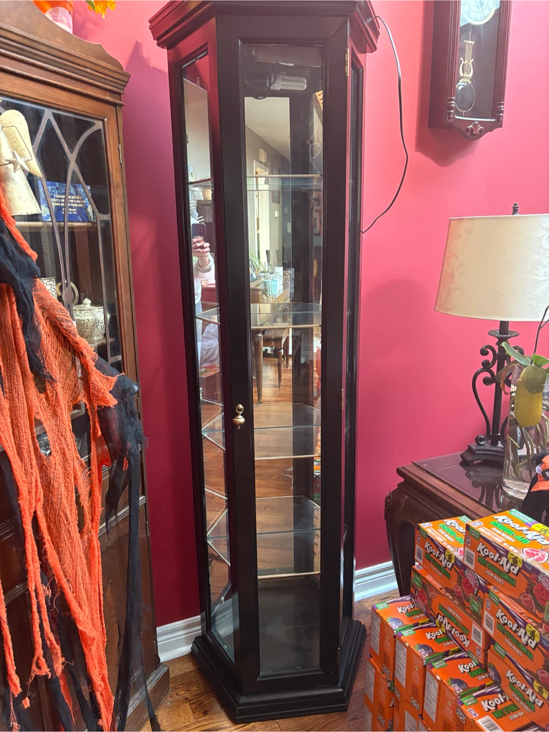 Tall Corner Display Cabinet