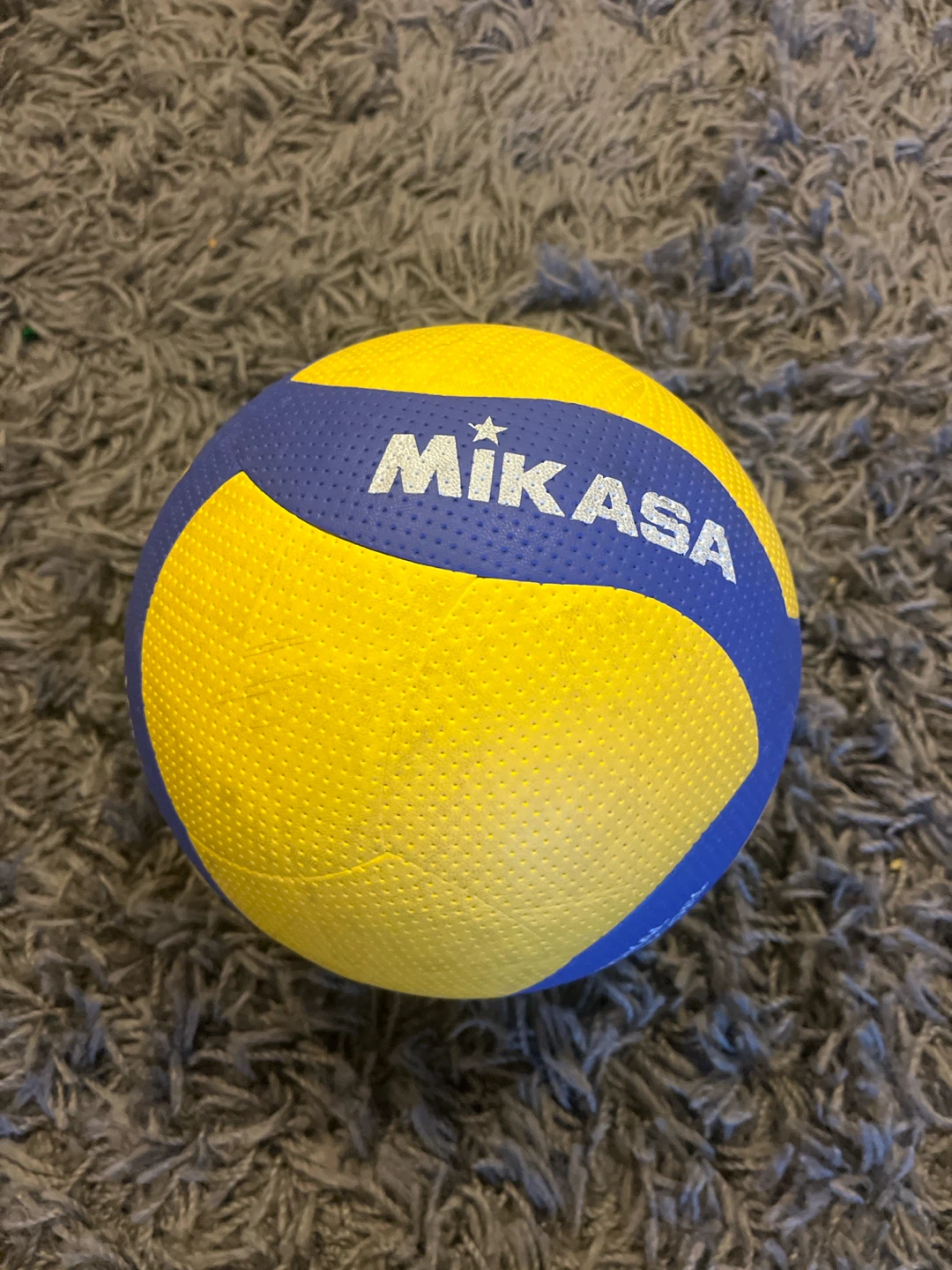 Mikasa V200W Volleyball