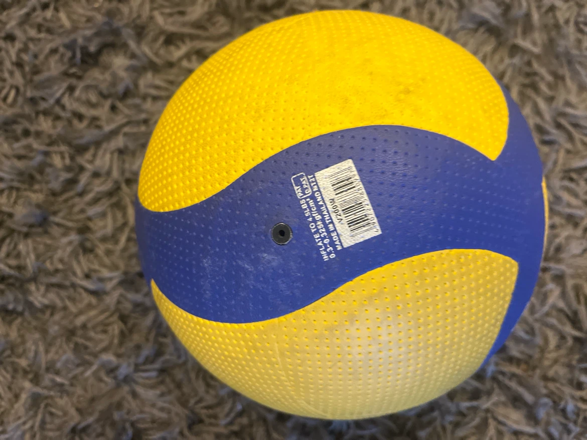 Mikasa V200W Volleyball - photo 2