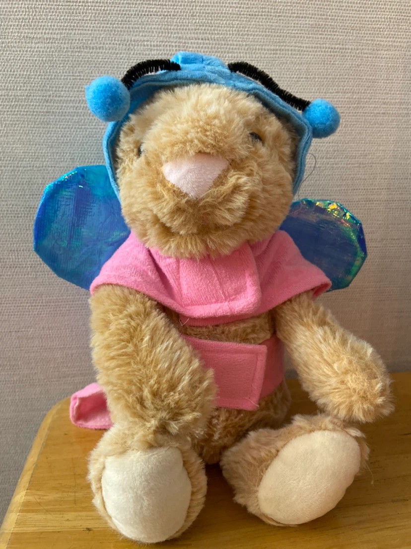 Costume for little dogs and cats