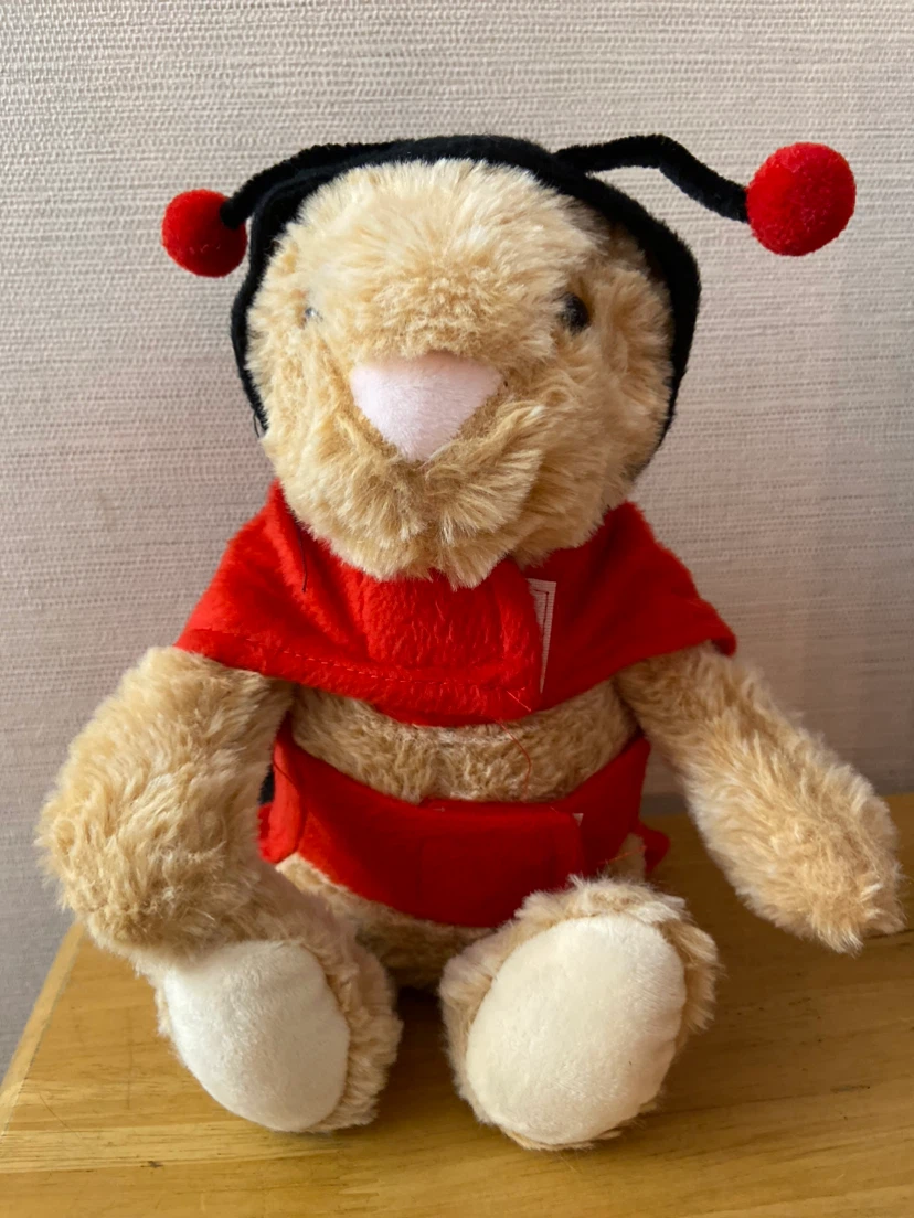Costume for little dogs and cats - photo 2