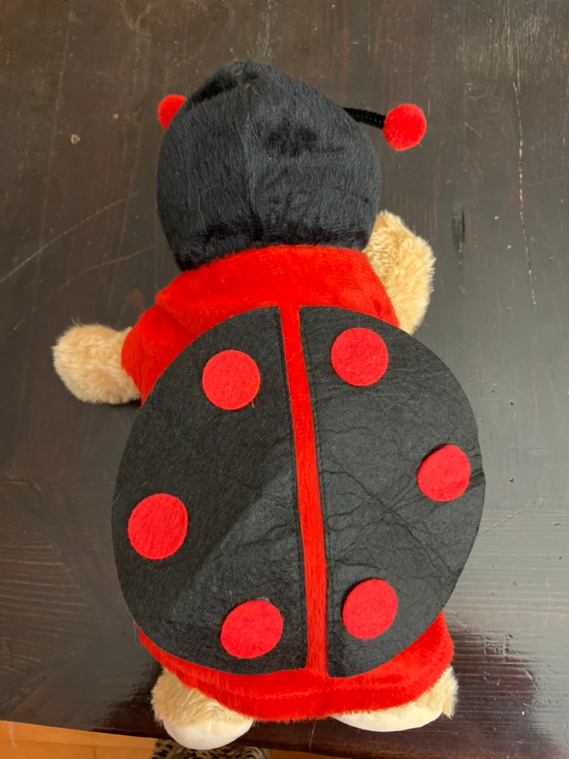 Costume for little dogs and cats - photo 3