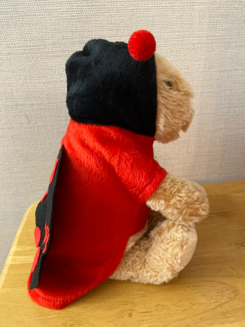 Costume for little dogs and cats - photo 5