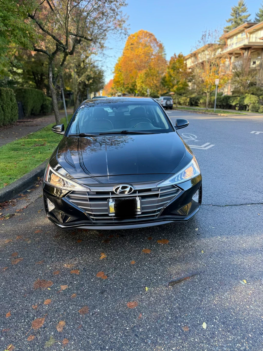 2020 Hyundai Elantra Luxury Limited - photo 3