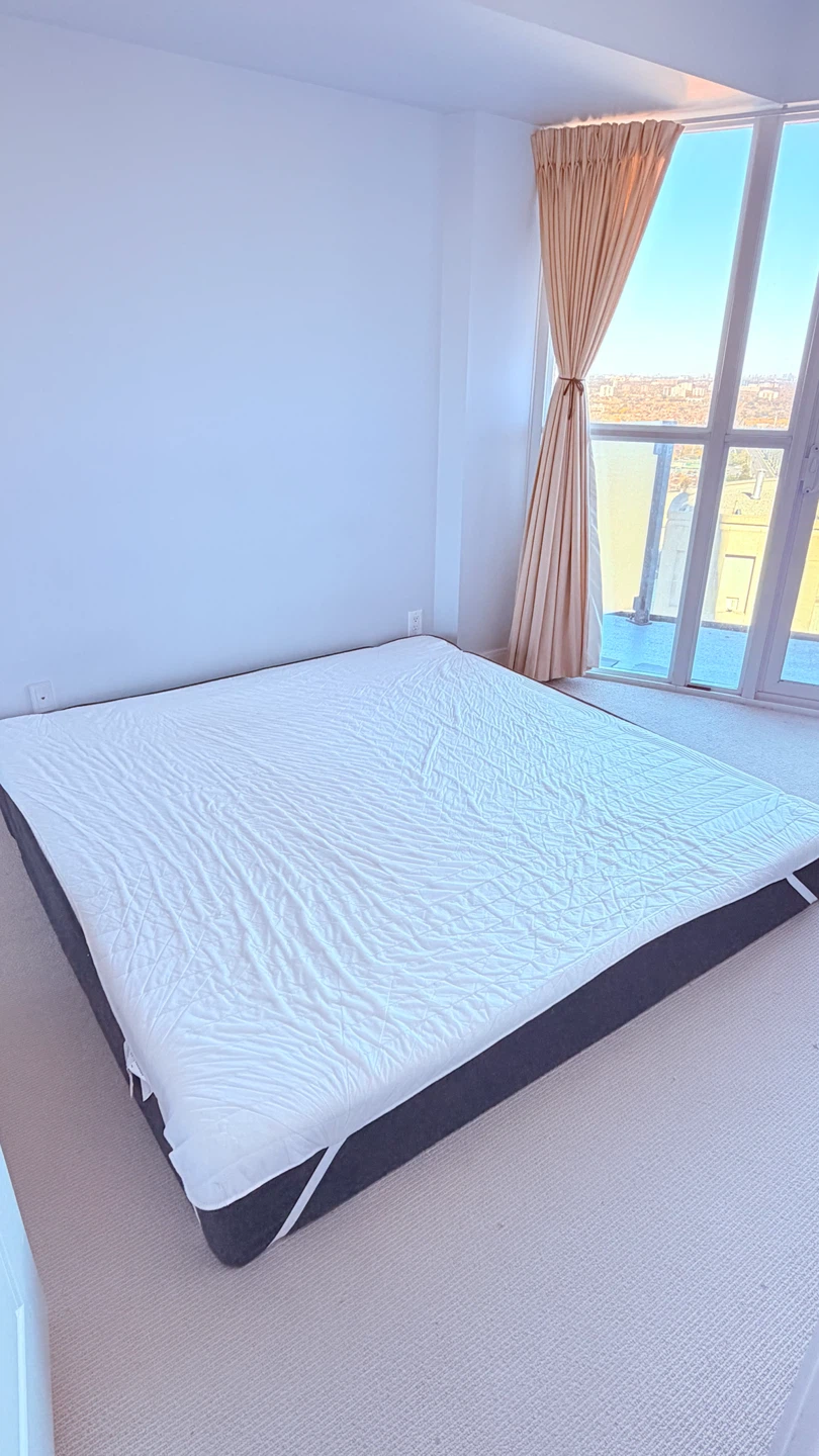 Zinus Mattress