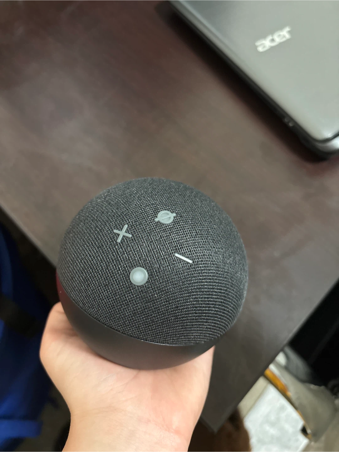 Alexa pod