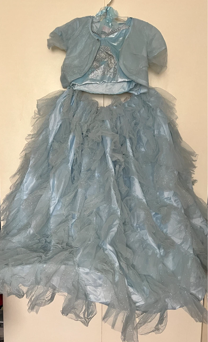 Cinderella Costume Dress and Cape