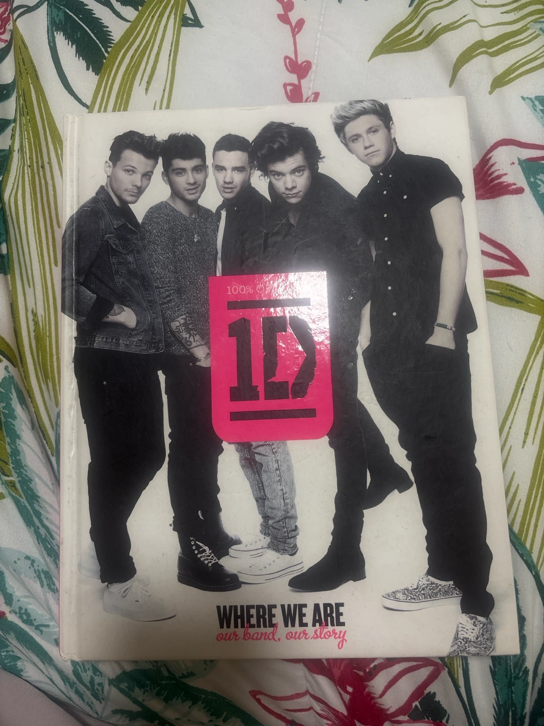 One Direction: Where We Are Our Band, Our Story