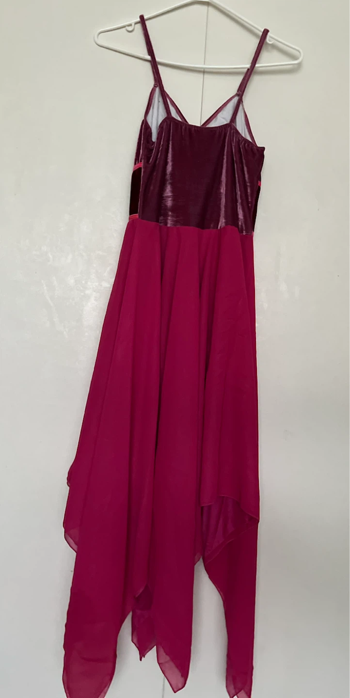 Burgundy and Pink Velvet Dance Dress - photo 4