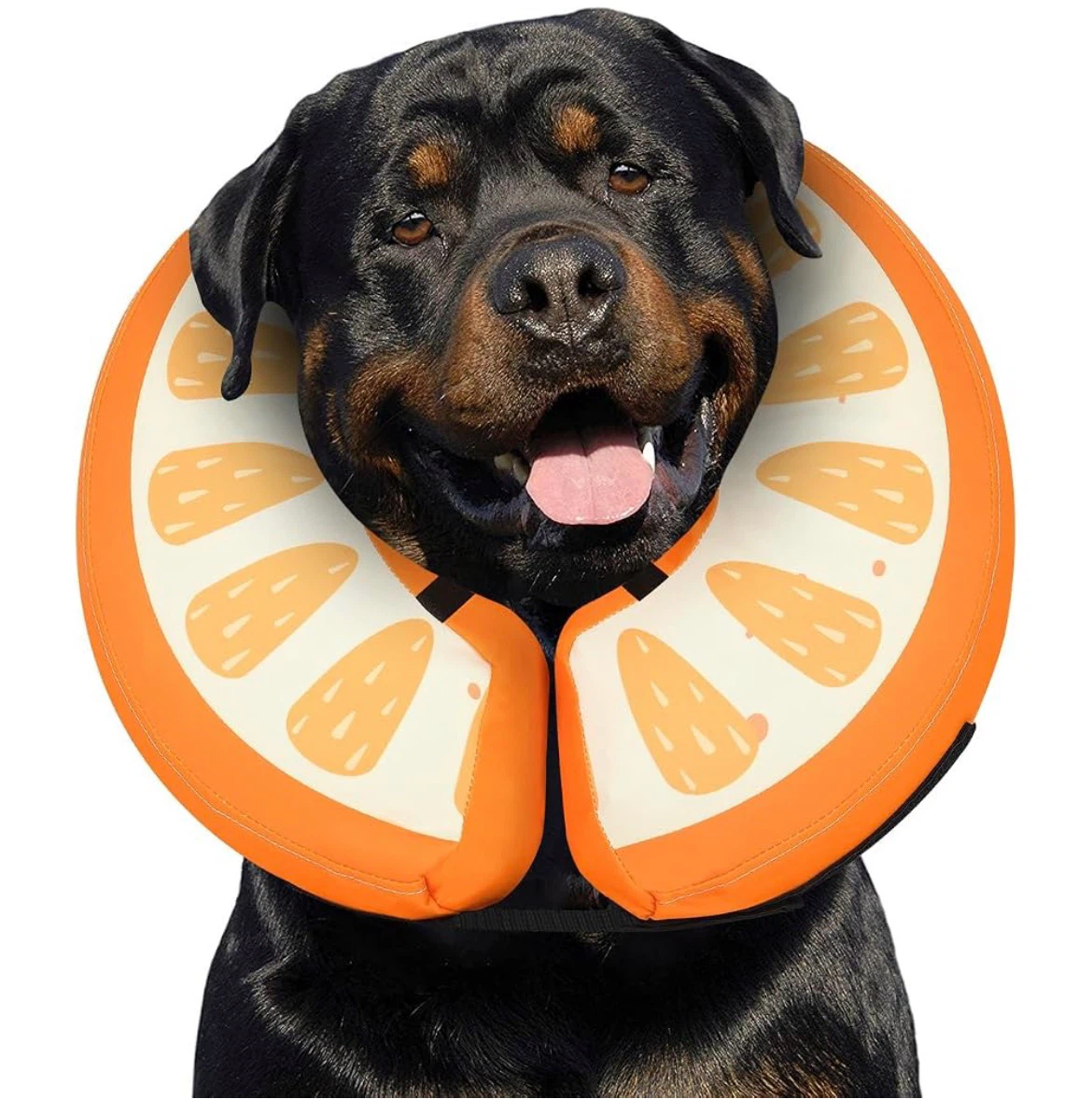 Orange Pattern Inflatable Dog Recovery Collar