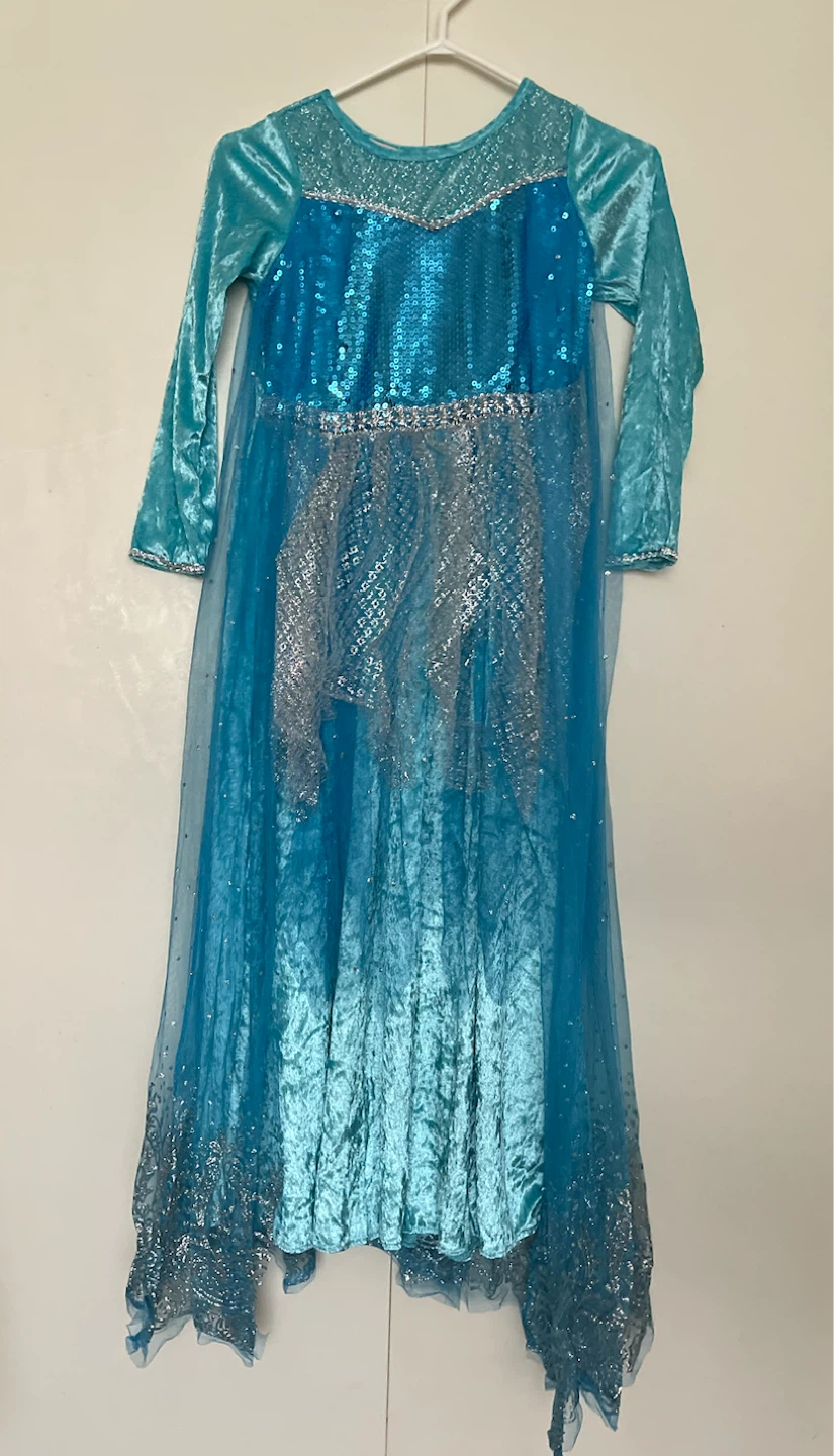 Blue Elsa Inspired Costume Dress