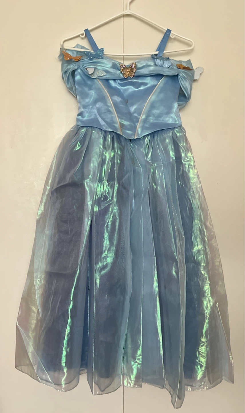 Blue Butterfly Princess Costume Dress