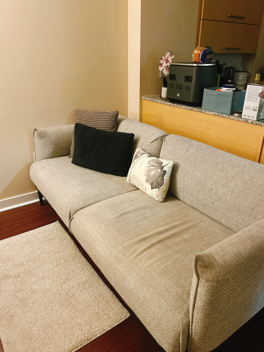 IKEA Äpplaryd Sofa